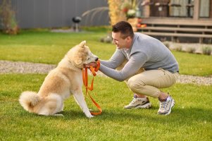 🏅 🐶 🦴Sådan kommer du i gang med at træne din hundehvalp